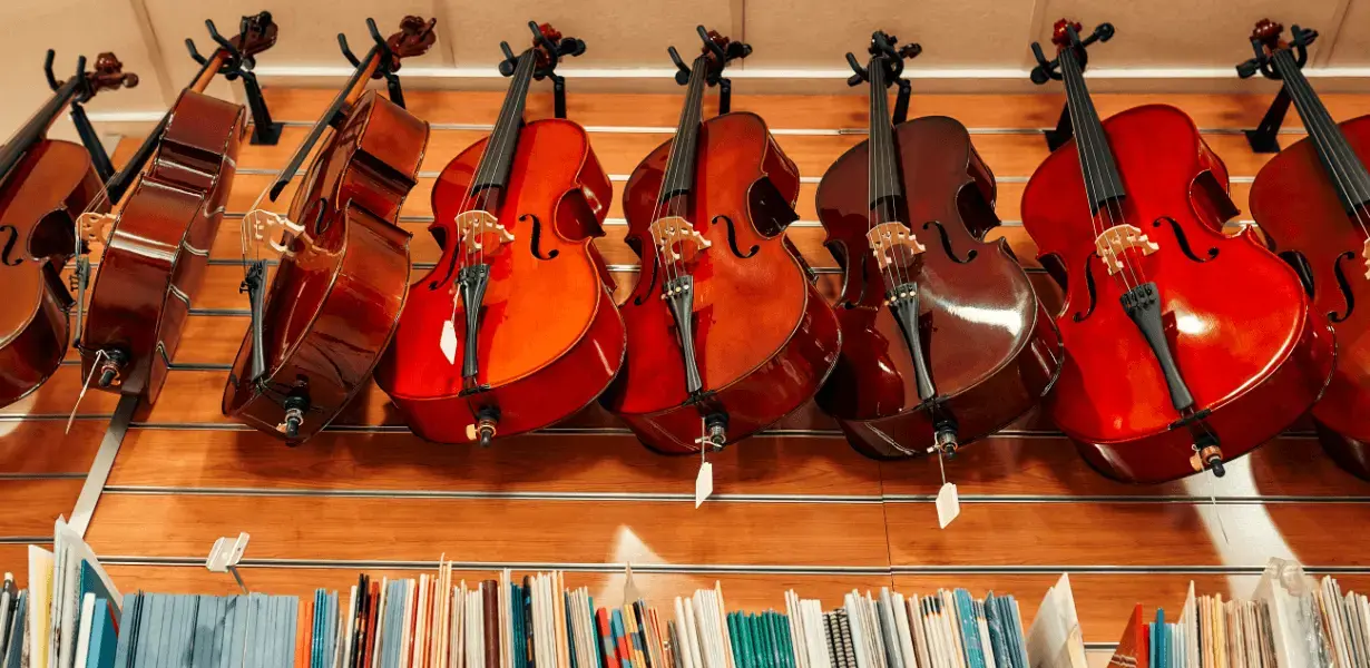 Violins on display